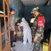 Anggota Polsek Dan Koramil 13 Pracimantoro Monitoring  Test Swab PCR