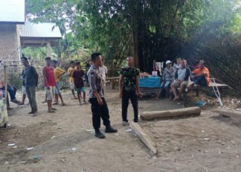 Diduga Informasi Bocor, Penggerebekan Judi Sabung Ayam di Baralau Nihil