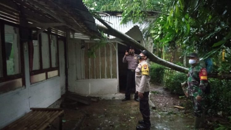 Polisi di Purbalingga Cek Rumah Tertimpa Pohon