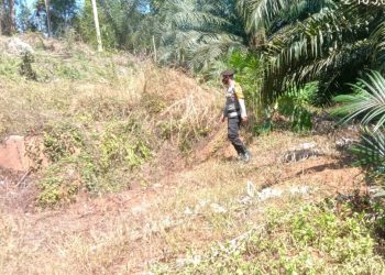 Polsek Permata Kecubung Patroli Kawasan Hutan Tanggulangi Karhutla