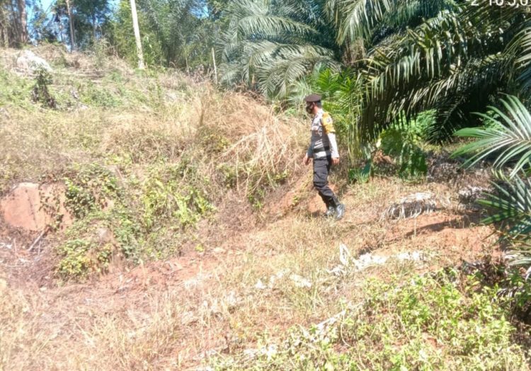 Polsek Permata Kecubung Patroli Kawasan Hutan Tanggulangi Karhutla