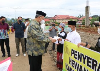 Polda Bengkulu Distribusikan 24 Sapi dan 3 Ekor Kambing Qurban