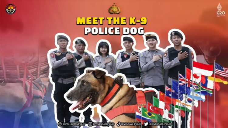 Meet The K-9 Police Dog For G20 Security