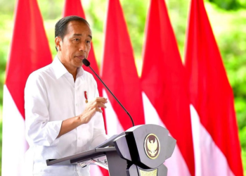 Presiden Jokowi Apresiasi TNI-Polri Atas Kebebasan Pilot Susi Air