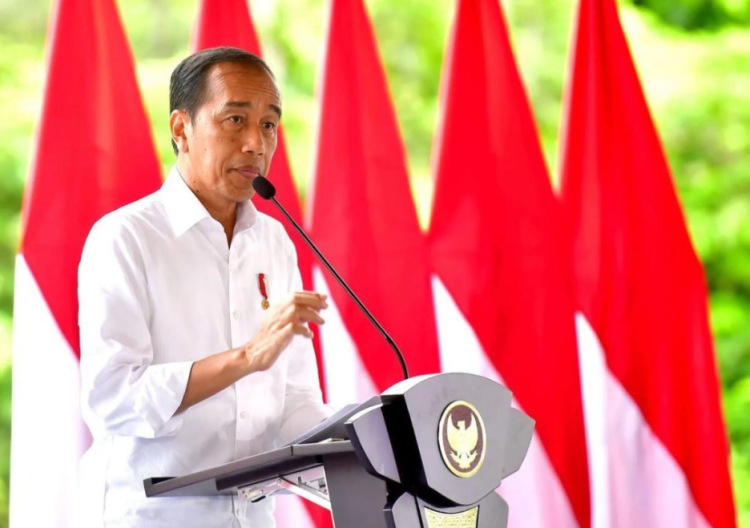 Presiden Jokowi Apresiasi TNI-Polri Atas Kebebasan Pilot Susi Air